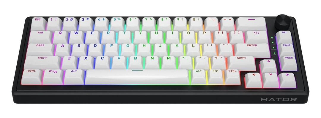 Klawiatura dla graczy Hator Skyfall 65 Wireless biało-czarna